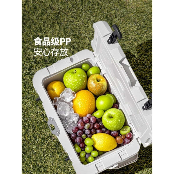 Cooler Box Mobi Garden Glacier 25L